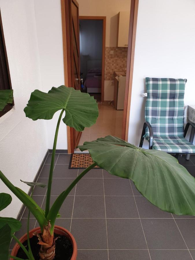 Vito Apartment Стариград-Пакленица Екстериор снимка